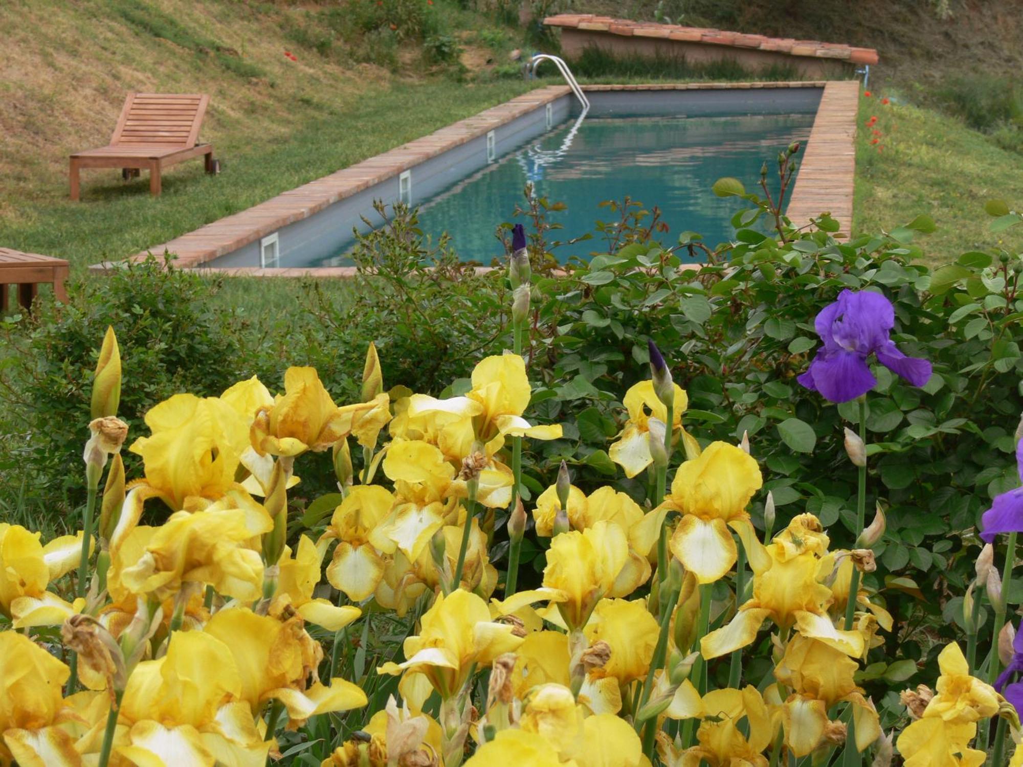 Casa Isabella Vaglio Serra Exterior foto
